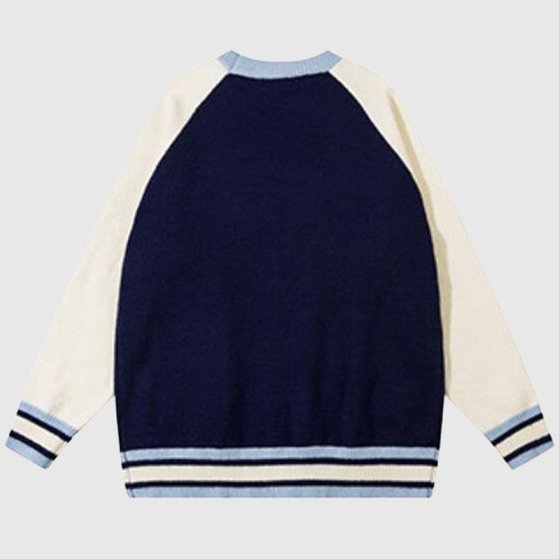 Niedlicher Pullover mit aufgesetzter Tasche und Dinosauriermuster