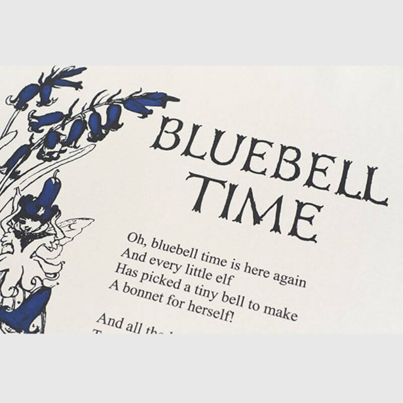 Cleanfit Vintage Bluebell T-Shirt
