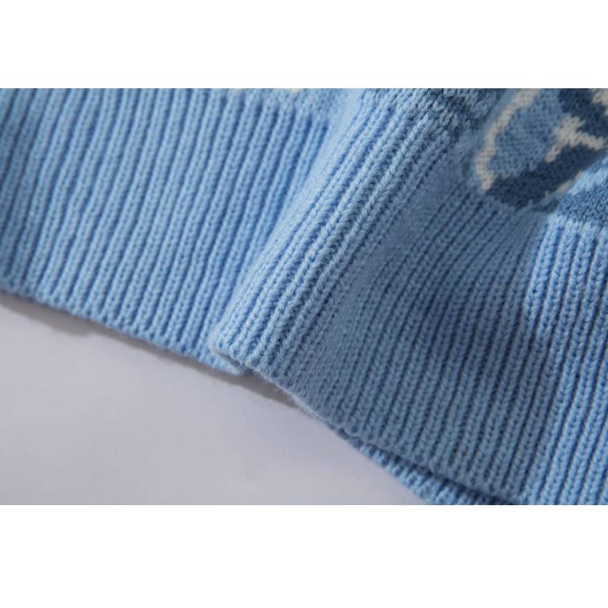 Pullover mit Dinosauriermuster