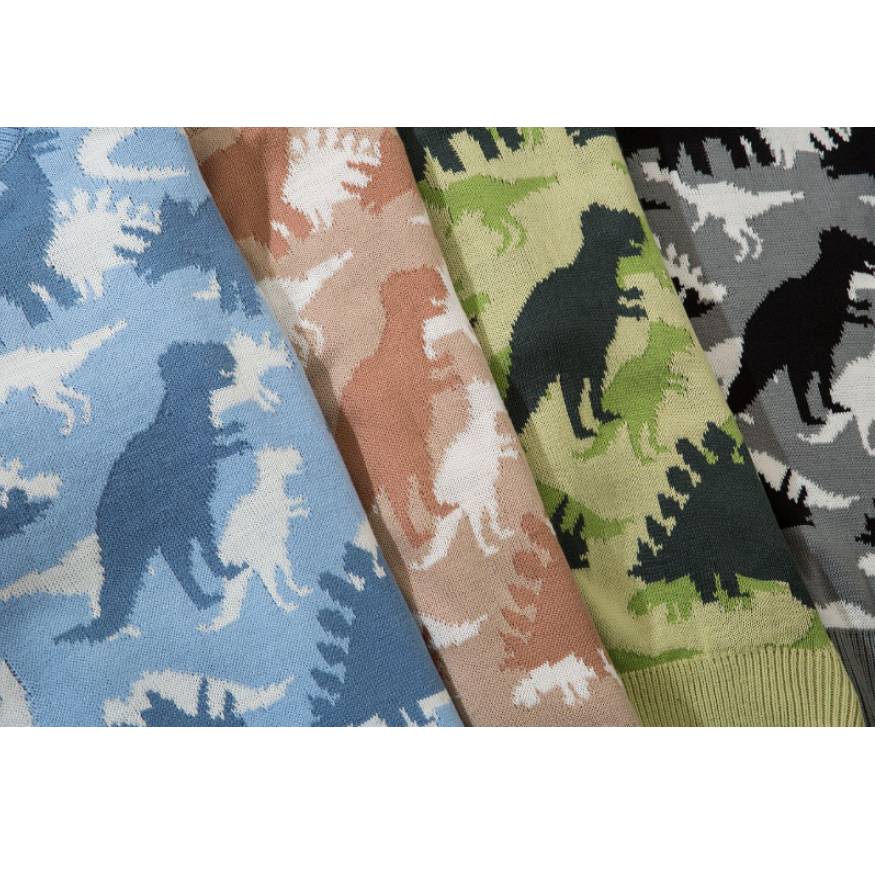 Pullover mit Dinosauriermuster