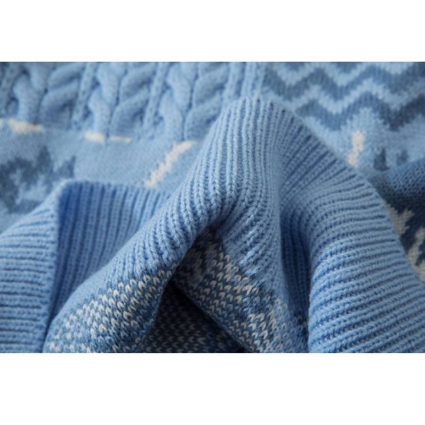 Pullover mit Dinosauriermuster